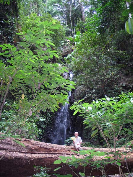 47 Tongkoko cascade