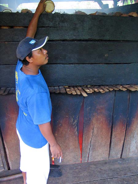 56 Tongkoko four a coco