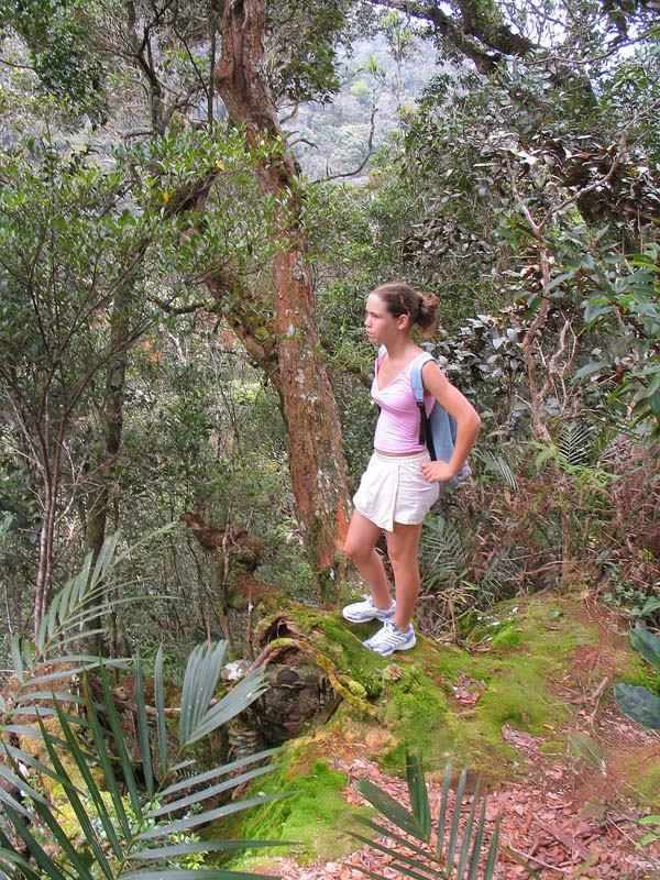 03 escaladeuse dans foret tropicale